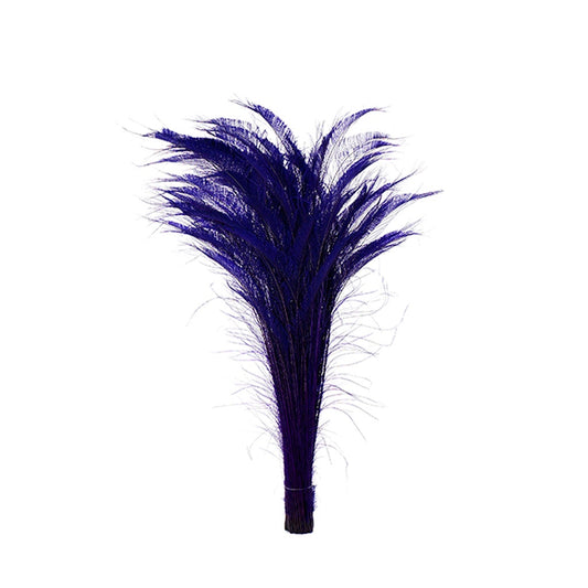 Peacock Swords Bleached Dyed - Regal - Feathers