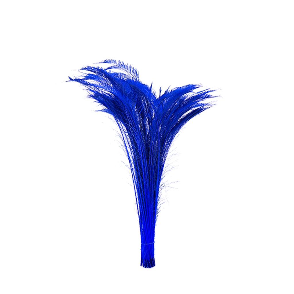 Peacock Swords Bleached Dyed - Royal - Feathers