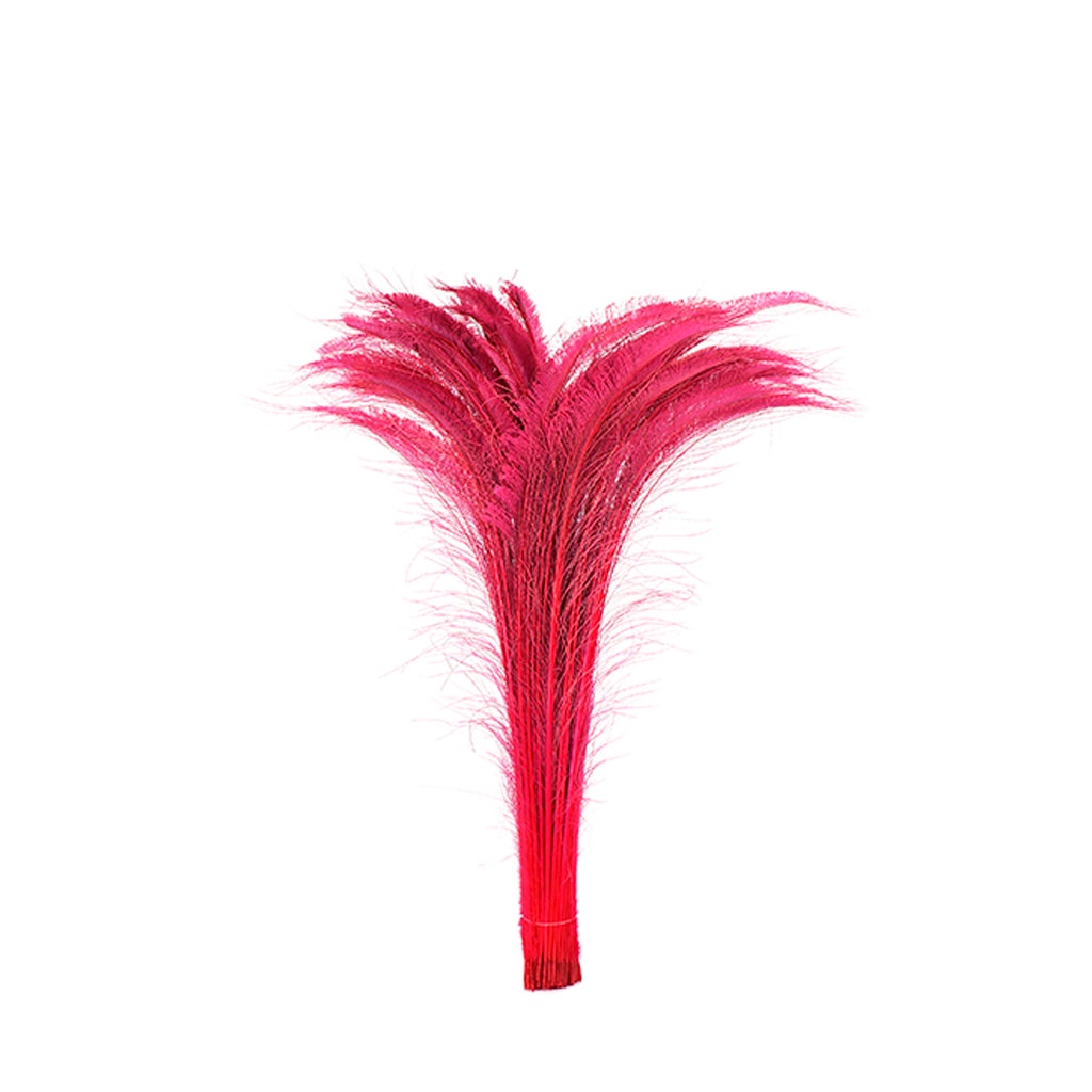 Peacock Swords Bleached Dyed - Shocking Pink - Feathers