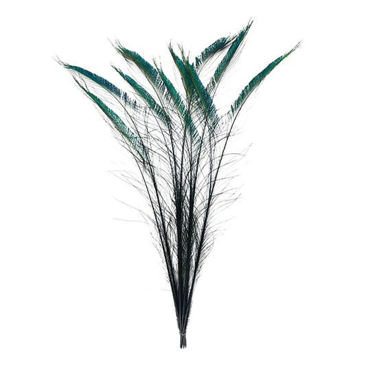 Peacock Swords Stem Dyed - Black - Feathers