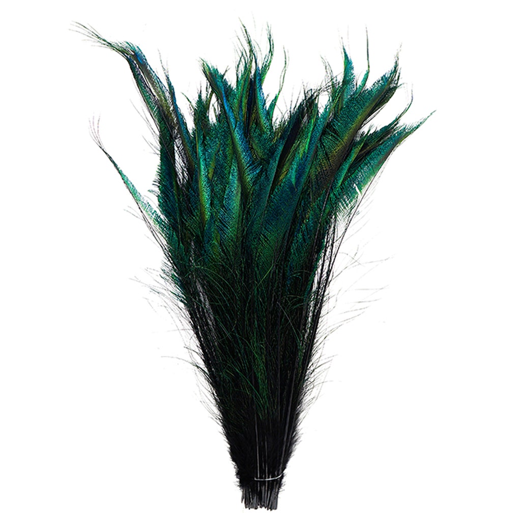 Peacock Swords Stem Dyed - Black - Feathers