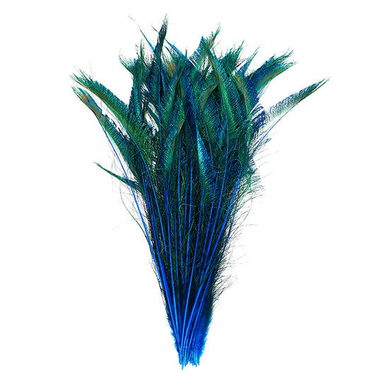 Peacock Swords Stem Dyed - Dark Turquoise - Feathers