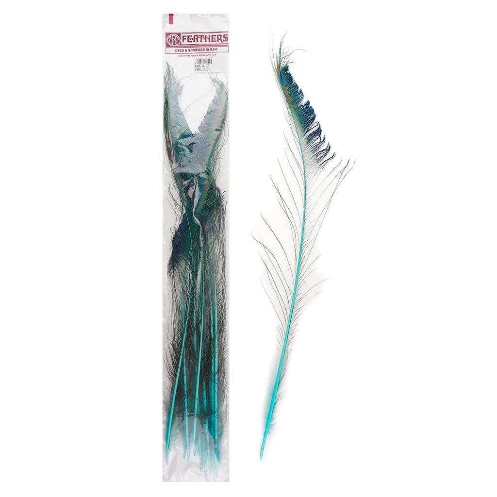 Peacock Swords Stem Dyed Light Turquoise - Feathers