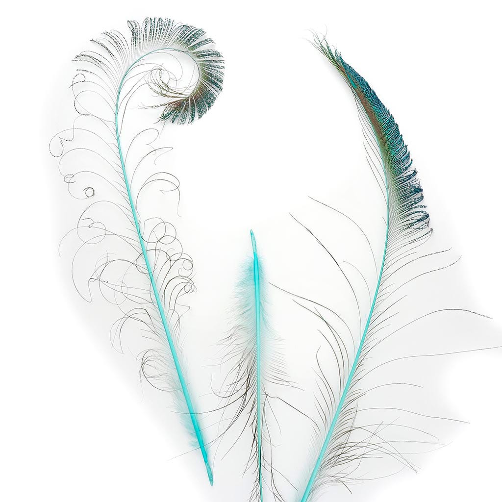 Peacock Swords Stem Dyed - Light Turquoise - Feathers