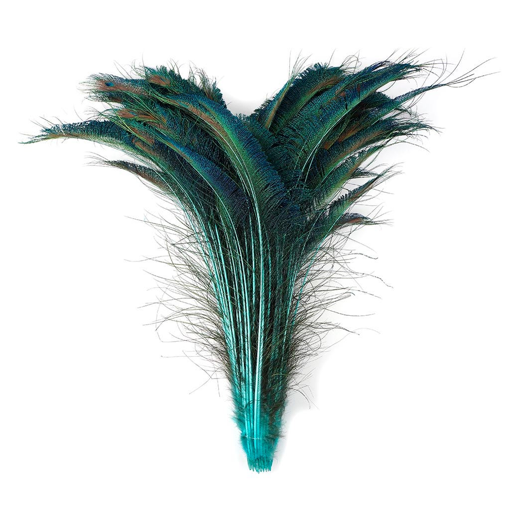 Peacock Swords Stem Dyed - Light Turquoise - Feathers