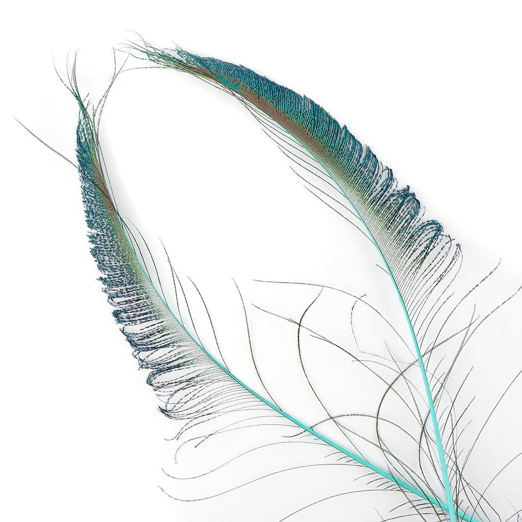 Peacock Swords Stem Dyed - Light Turquoise - Feathers