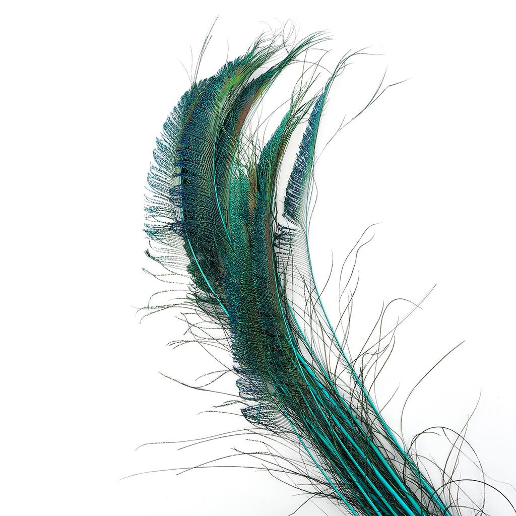 Peacock Swords Stem Dyed - Light Turquoise - Feathers