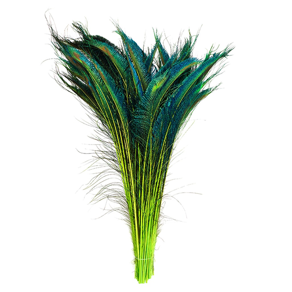 Peacock Swords Stem Dyed - Lime - Feathers