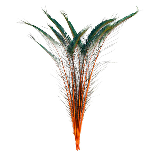 Peacock Swords Stem Dyed - Orange - Feathers