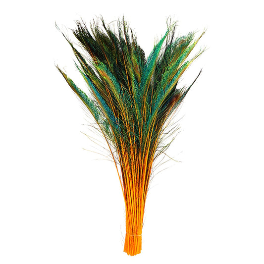 Peacock Swords Stem Dyed - Orange - Feathers