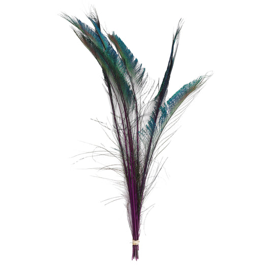 Peacock Swords Stem Dyed - Purple - Feathers