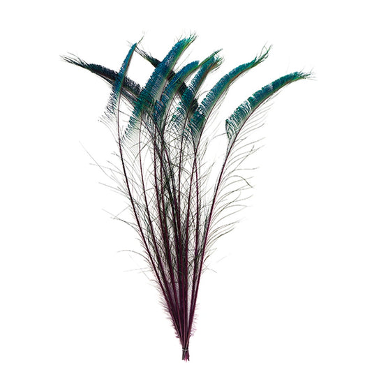 Peacock Swords Stem Dyed - Purple - Feathers