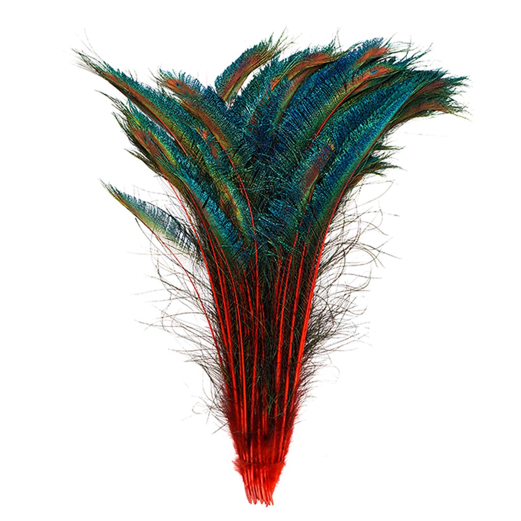 Peacock Swords Stem Dyed - Red - Feathers