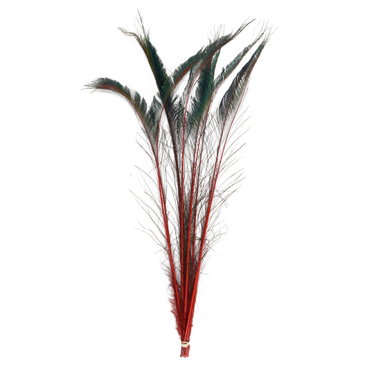 Peacock Swords Stem Dyed - Red - Feathers