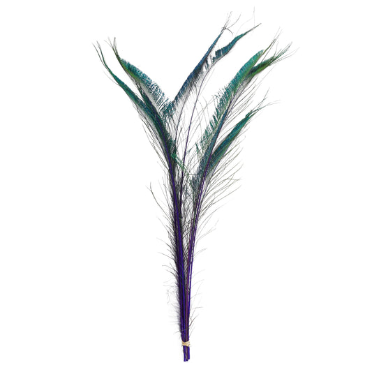 Peacock Swords Stem Dyed - Regal - Feathers