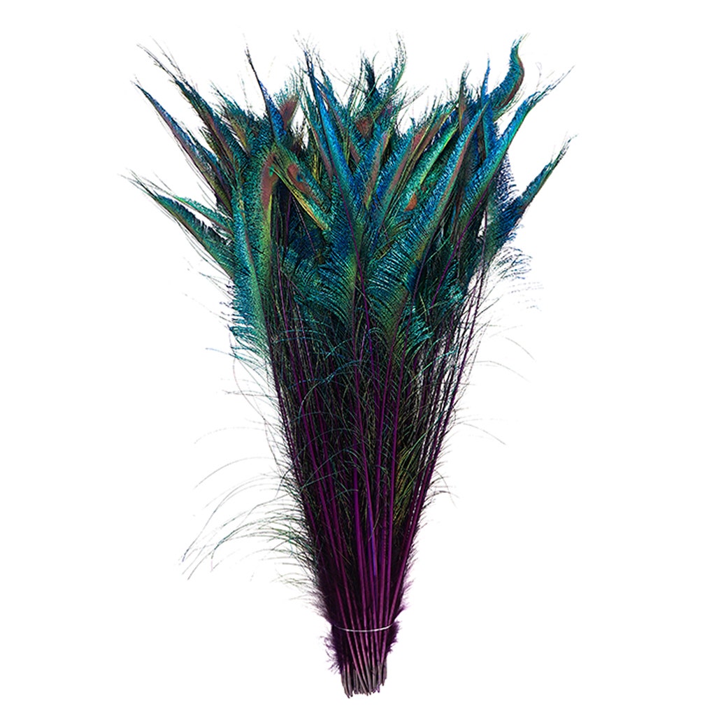 Peacock Swords Stem Dyed - Regal - Feathers