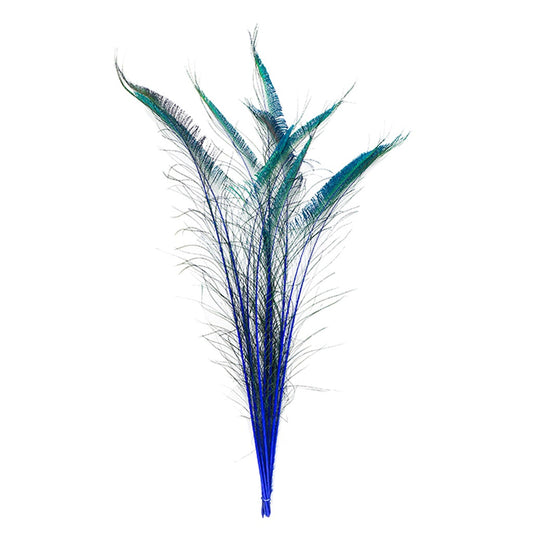 Peacock Swords Stem Dyed - Royal - Feathers