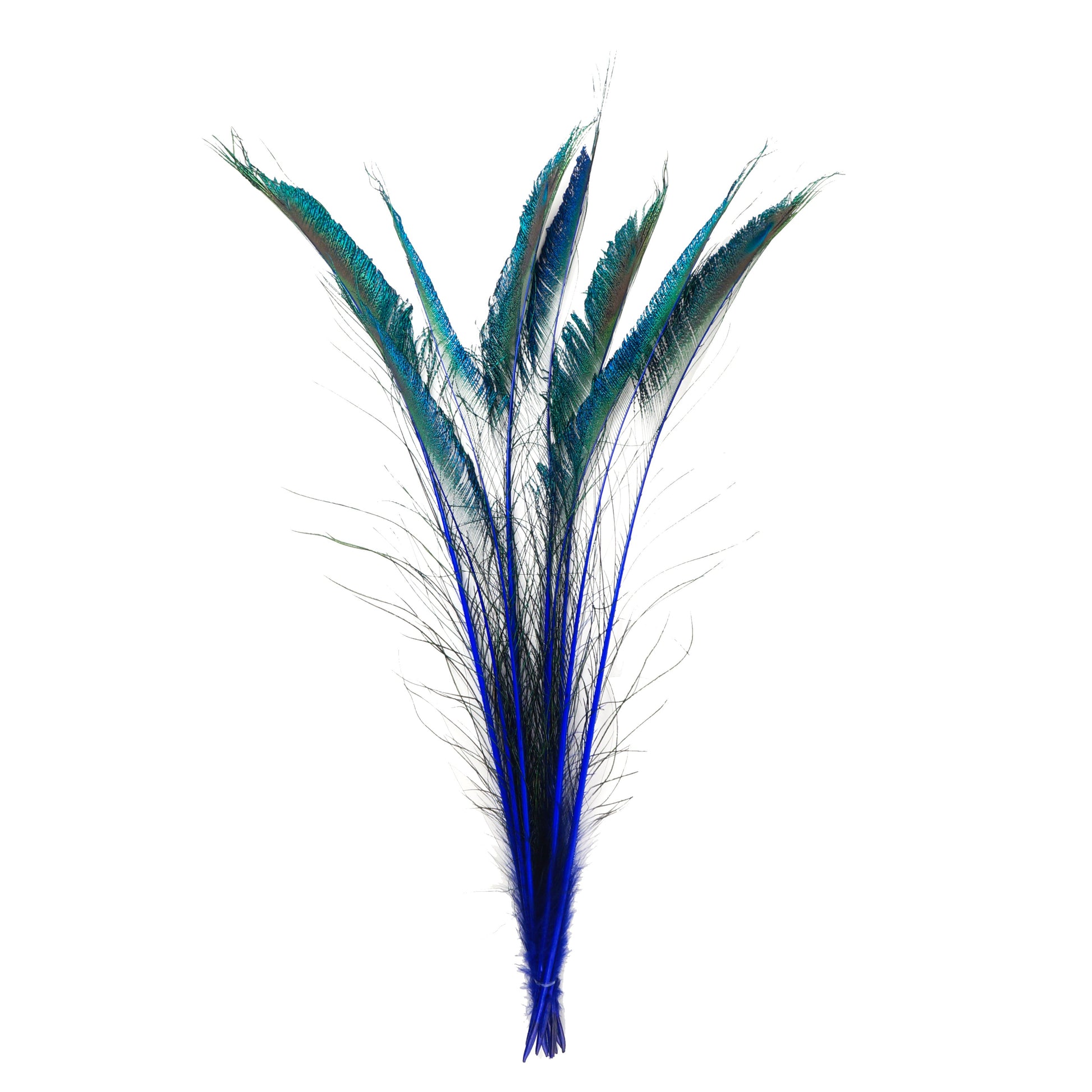 Peacock Swords Stem Dyed - Royal - Feathers