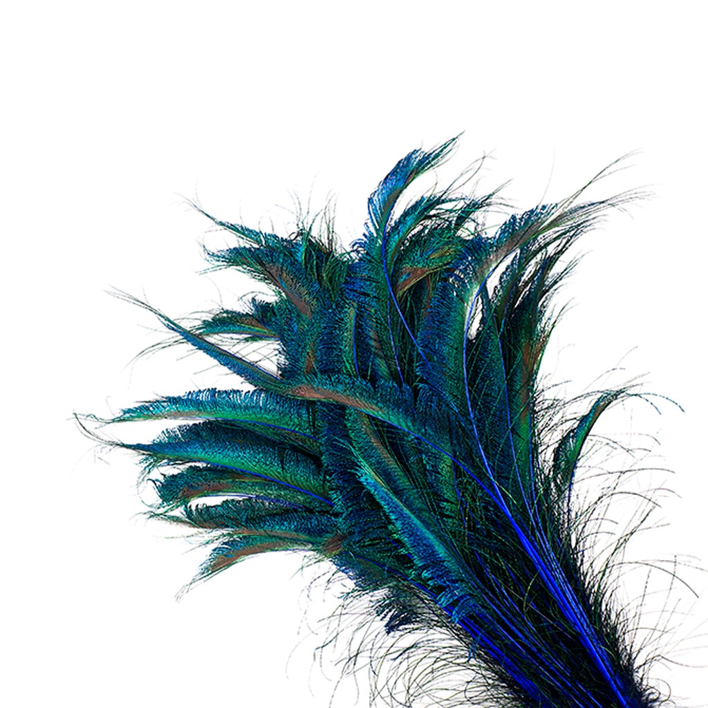 Peacock Swords Stem Dyed - Royal - Feathers