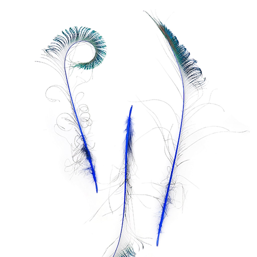 Peacock Swords Stem Dyed - Royal - Feathers