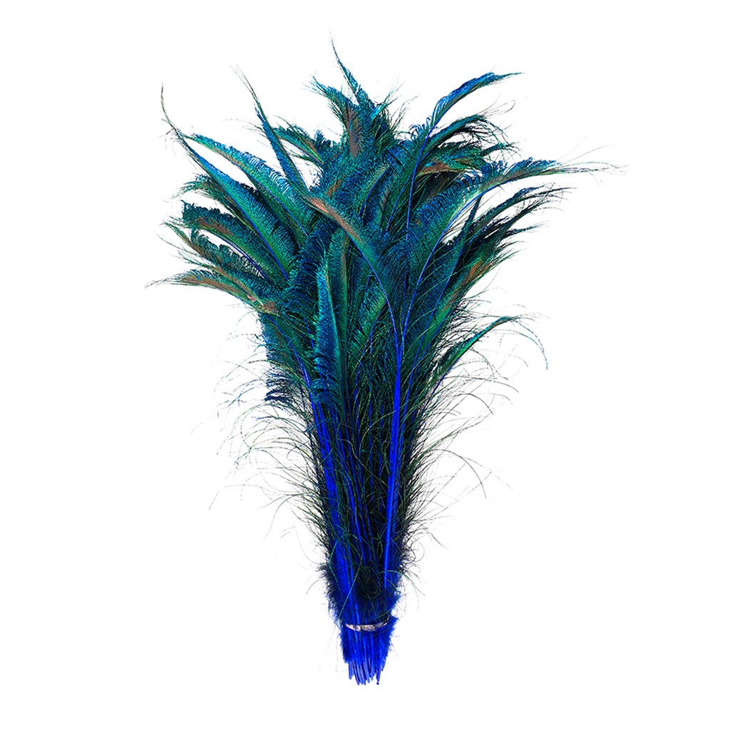 Peacock Swords Stem Dyed - Royal - Feathers