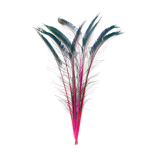 Peacock Swords Stem Dyed - Shocking Pink - Feathers