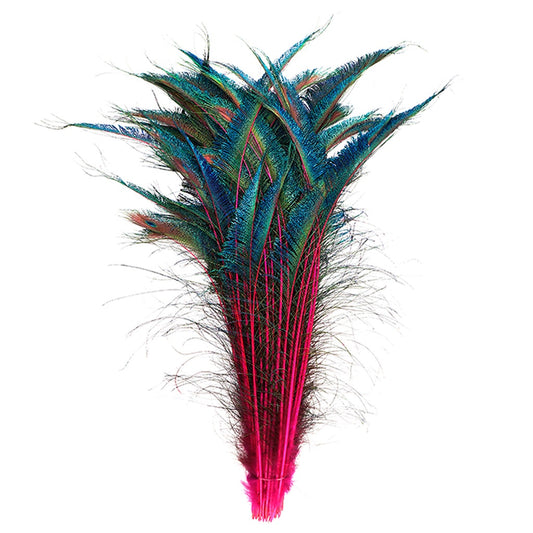 Peacock Swords Stem Dyed - Shocking Pink - Feathers