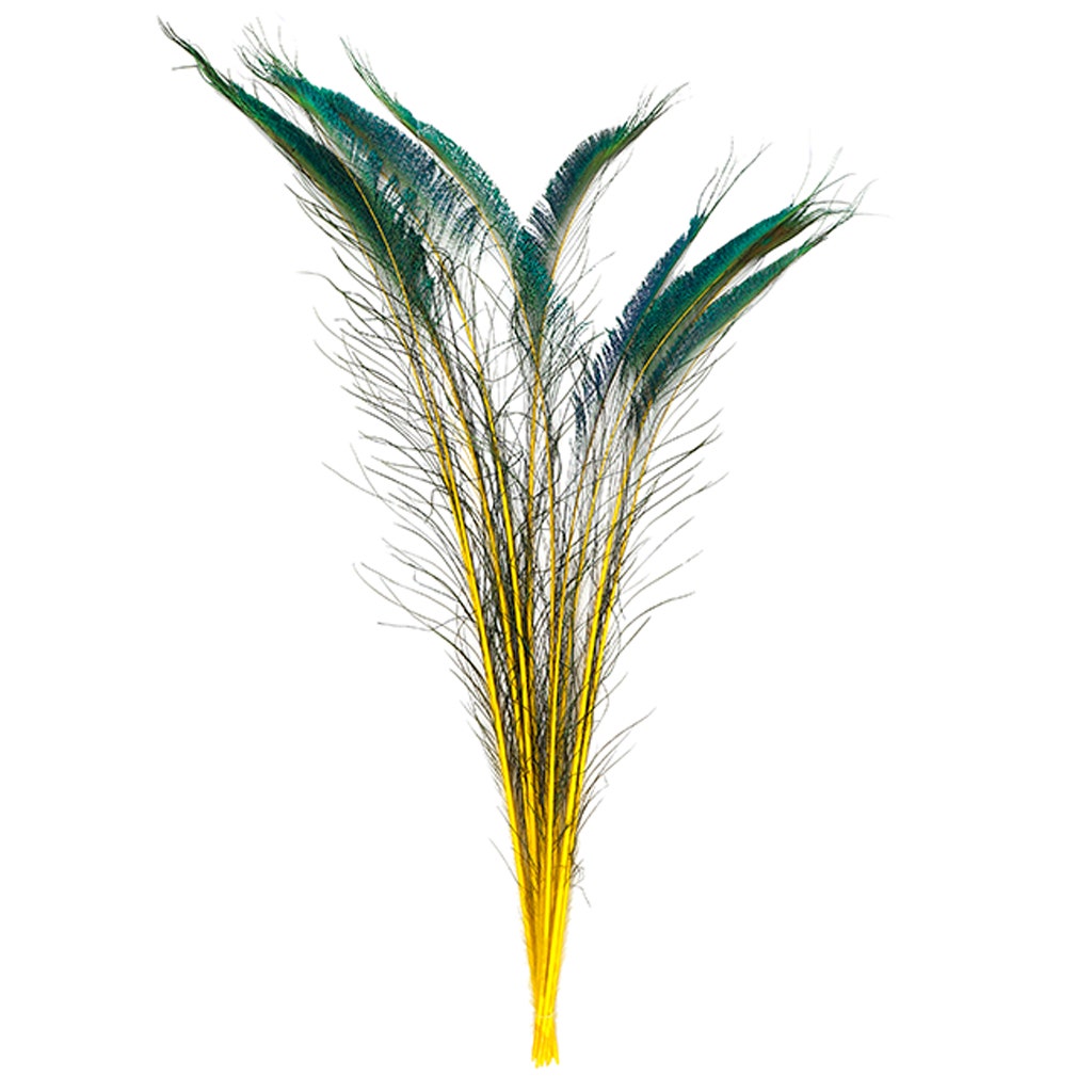 Peacock Swords Stem Dyed - Yellow - Feathers