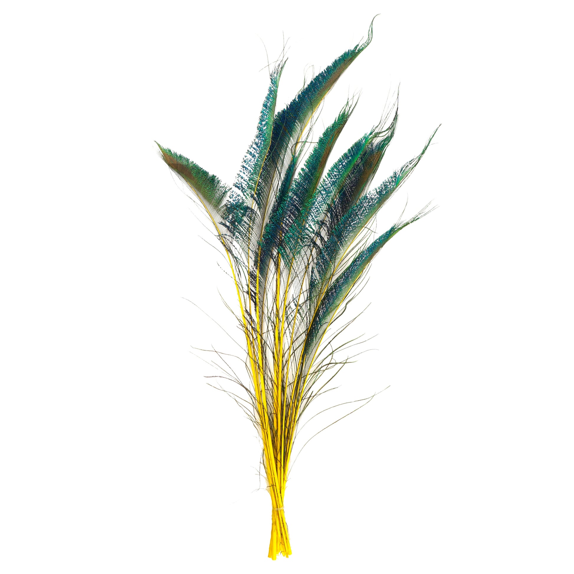 Peacock Swords Stem Dyed - Yellow - Feathers