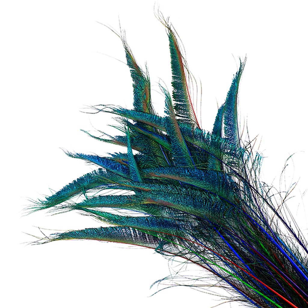 Peacock Swords Stem Mix Dyed - Jewel Mix - Feathers