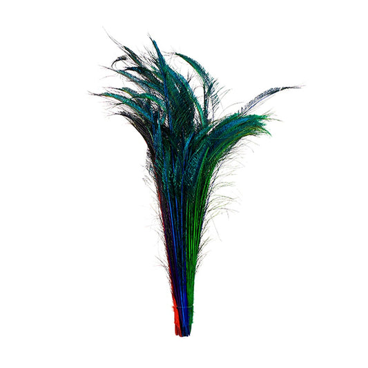 Peacock Swords Stem Mix Dyed - Jewel Mix - Feathers