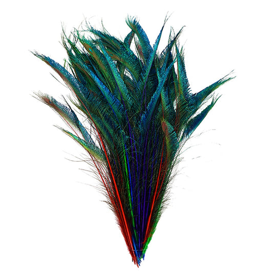 Peacock Swords Stem Mix Dyed - Jewel Mix - Feathers