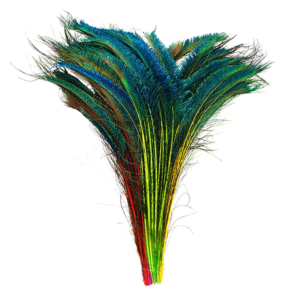 Peacock Swords Stem Mix Dyed - Neon Mix - Feathers