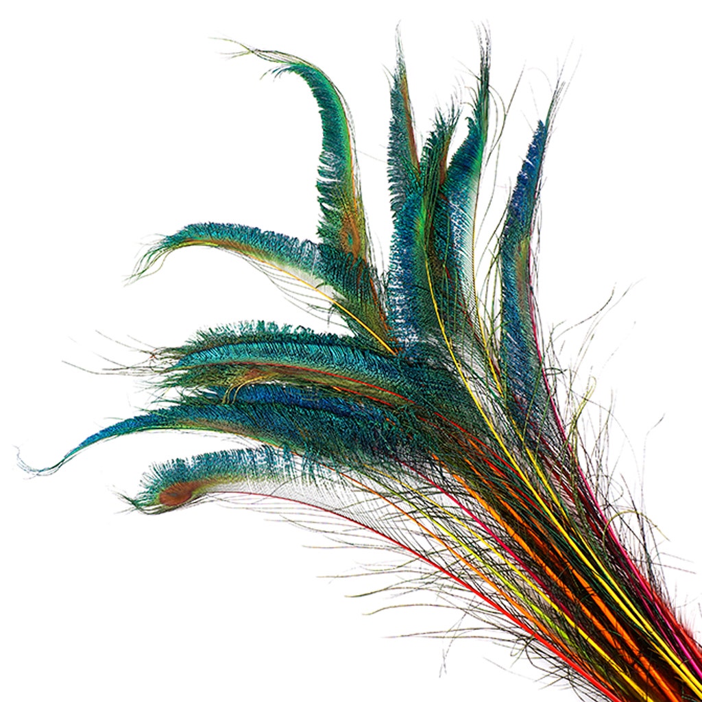 Peacock Swords Stem Mix Dyed - Neon Mix - Feathers