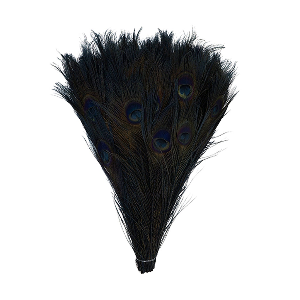 Peacock Tail Eyes Bleached and Dyed - 8-15” - 100 PC - Black - Feathers