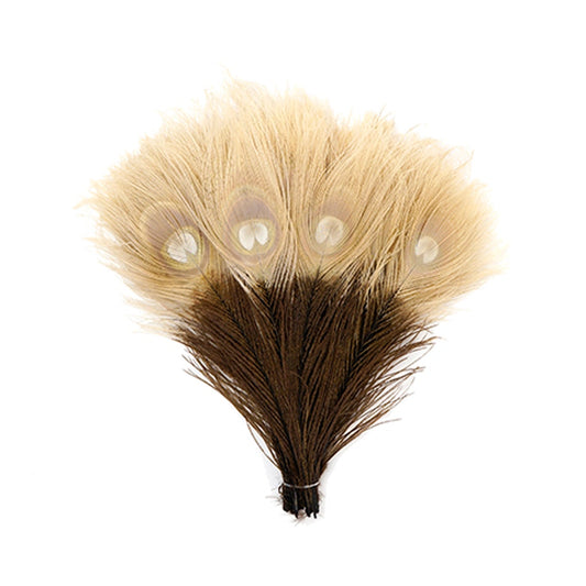 Peacock Tail Eyes Bleached and Dyed - 8-15” - 100 pc - Brown/Eggshell - 8 -15’’ - Feathers