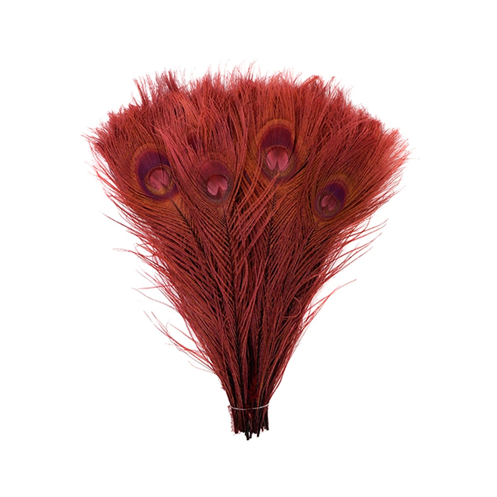 Peacock Tail Eyes Bleached and Dyed - 8-15” - 100 pc - Burgundy - Feathers