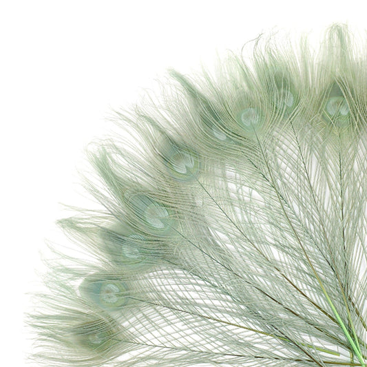 Peacock Tail Eyes Bleached and Dyed - 8-15” - 100 pc - Celedon - Feathers