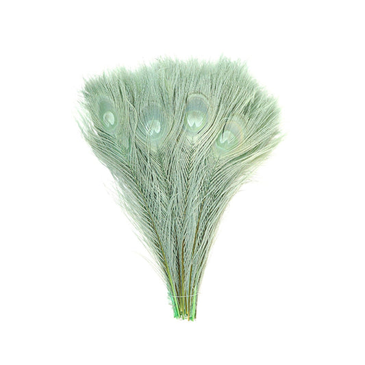 Peacock Tail Eyes Bleached and Dyed - 8-15” - 100 pc - Celedon - Feathers