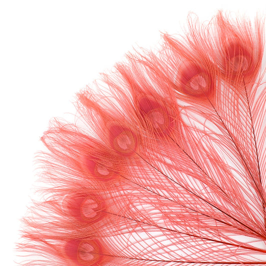 Peacock Tail Eyes Bleached and Dyed - 8-15” - 100 pc - Coral - Feathers