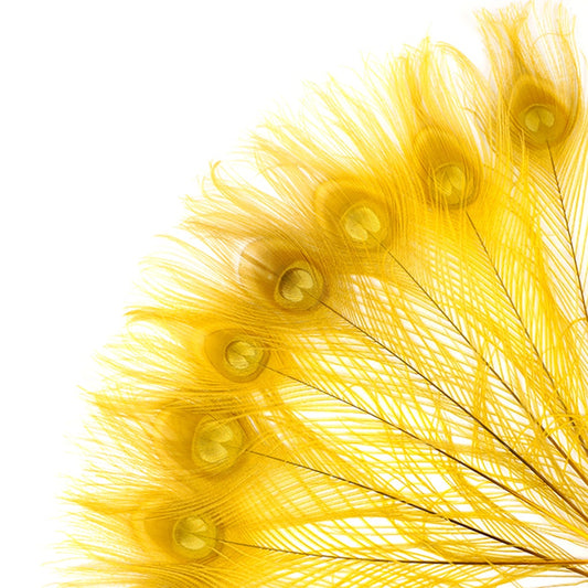 Peacock Tail Eyes Bleached and Dyed - 8-15” - 100 pc - Gold - Feathers