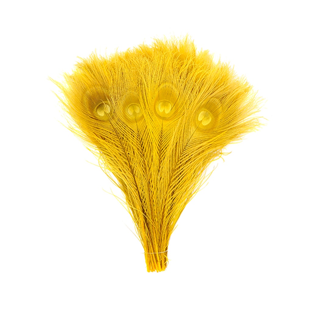 Peacock Tail Eyes Bleached and Dyed - 8-15” - 100 pc - Gold - Feathers