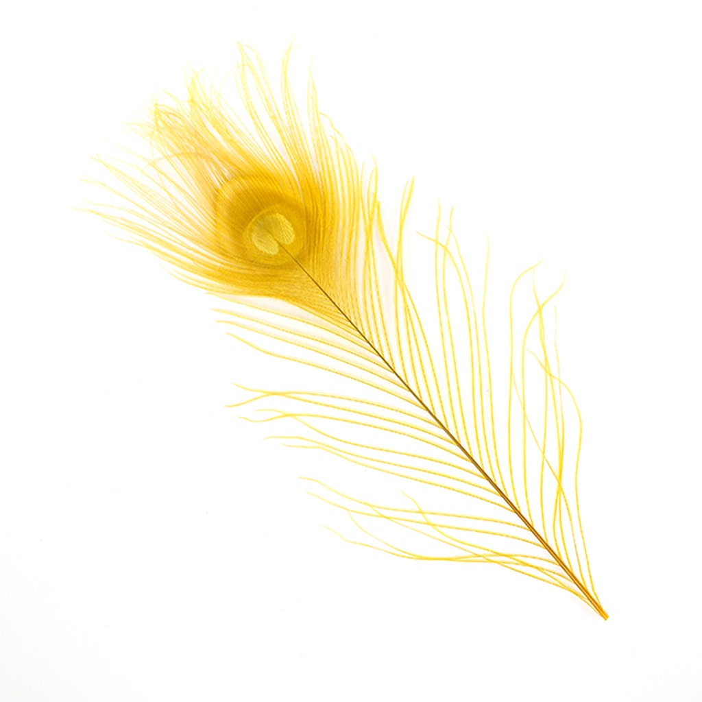 Peacock Tail Eyes Bleached and Dyed - 8-15” - 100 pc - Gold - Feathers