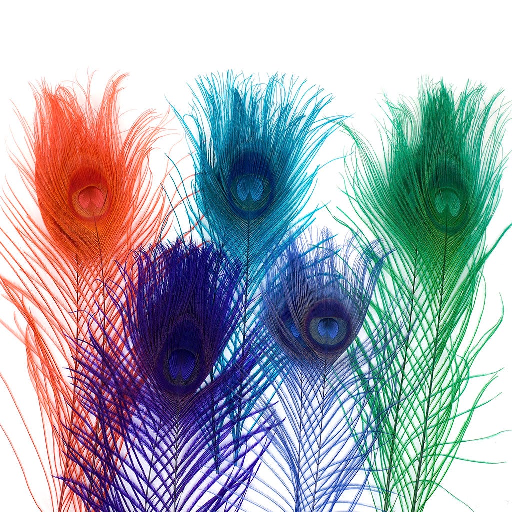 Peacock Tail Eyes Bleached and Dyed - 8-15” - 100 pc - Jewel Mix - Feathers