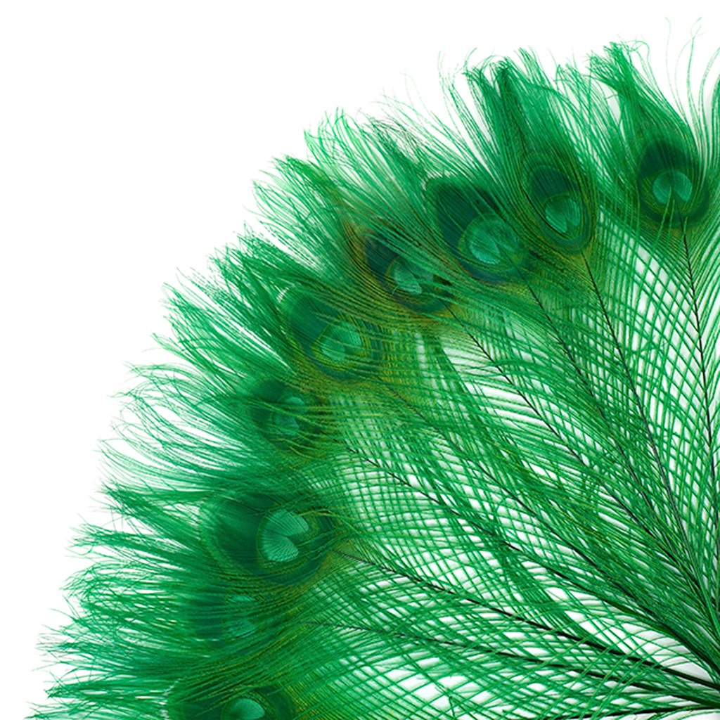 Peacock Tail Eyes Bleached and Dyed - 8-15” - 100 pc - Kelly - Feathers