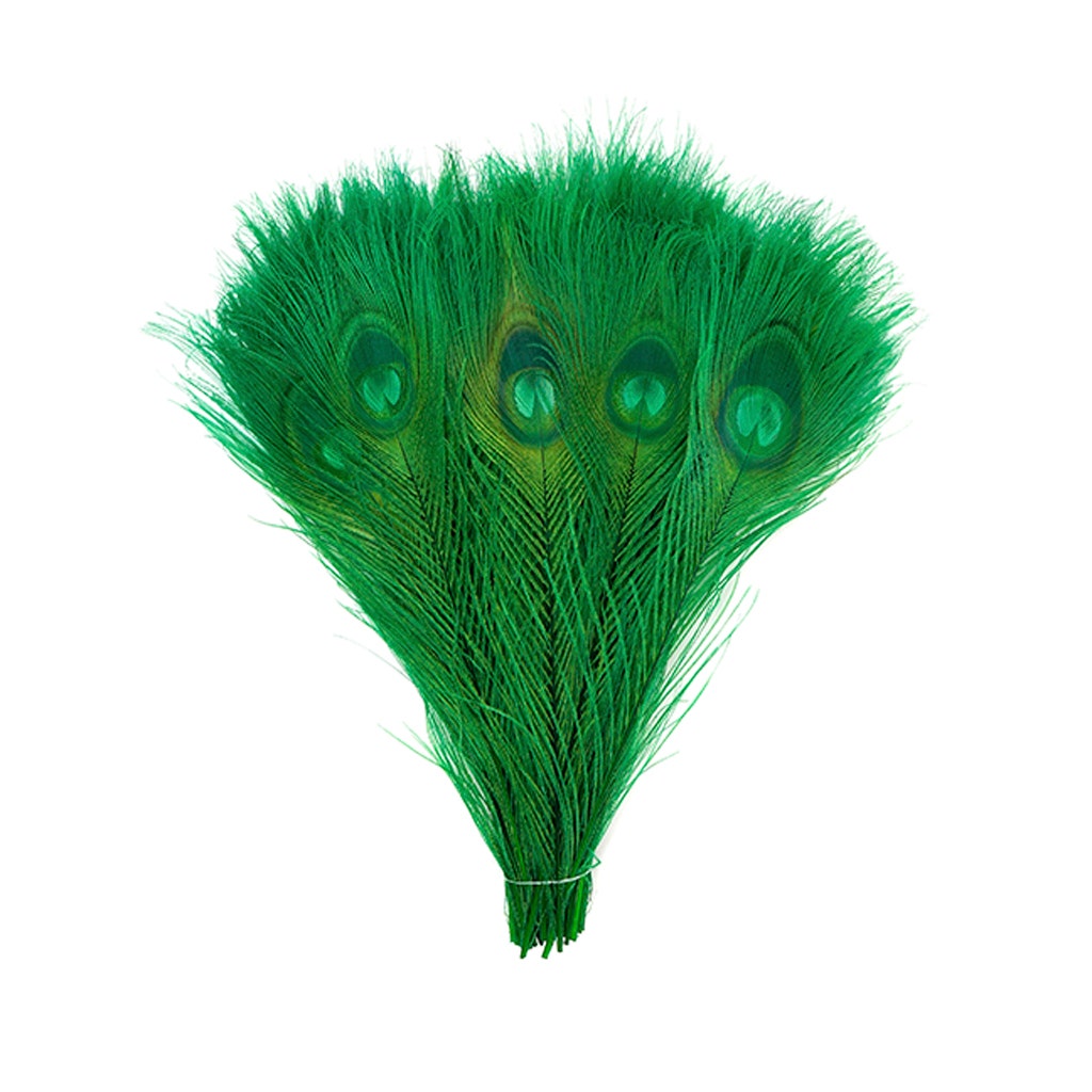 Peacock Tail Eyes Bleached and Dyed - 8-15” - 100 pc - Kelly - Feathers