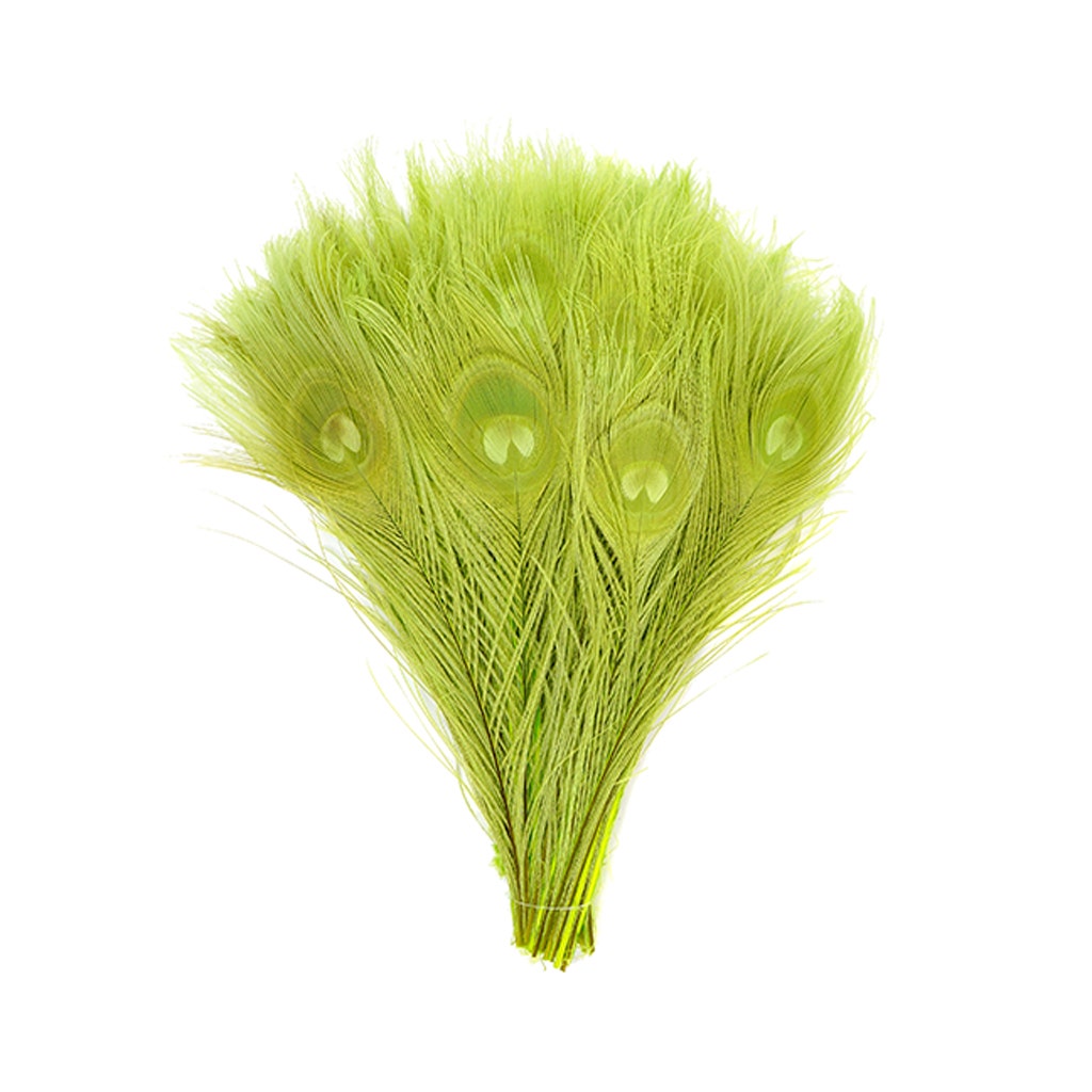 Peacock Tail Eyes Bleached and Dyed - 8-15” - 100 pc - Lime - Feathers