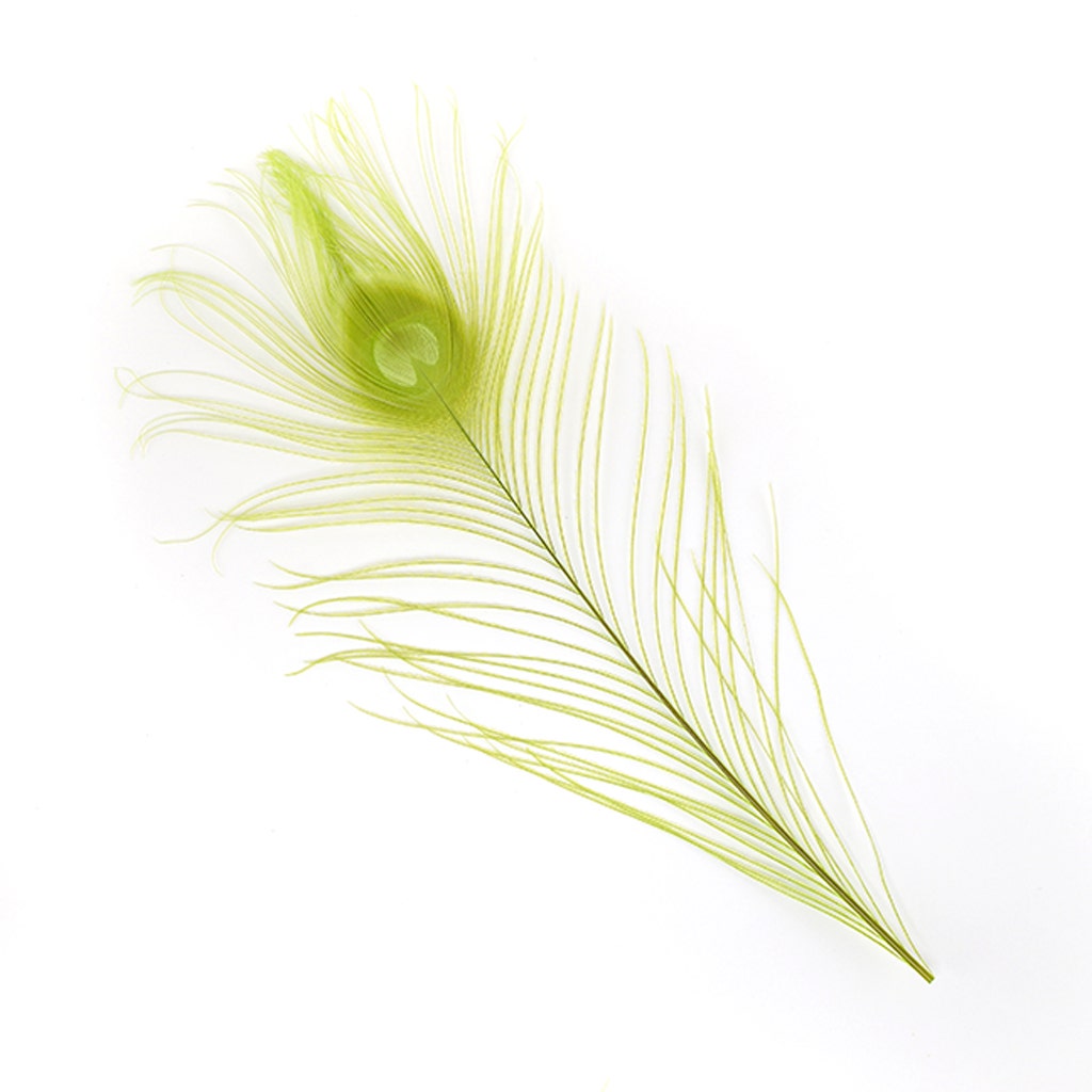 Peacock Tail Eyes Bleached and Dyed - 8-15” - 100 pc - Lime - Feathers