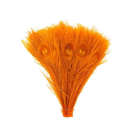 Peacock Tail Eyes Bleached and Dyed - 8-15” - 100 pc - Orange - Feathers