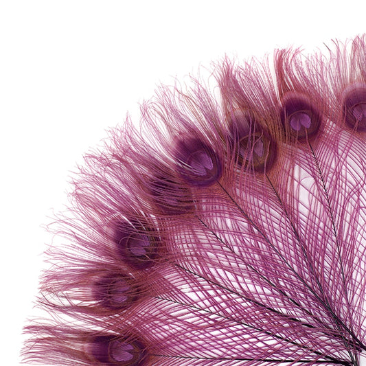 Peacock Tail Eyes Bleached and Dyed - 8-15” - 100 pc - Purple - Feathers
